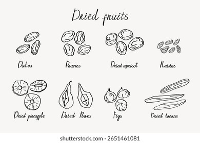 Dried fruits doodle with prunes, dates, apricot, figs, raisins, dried apricots, banana, pineapple, pear for isolated background. Oriental sweets, damson, healthy food. For label, template, logo, card