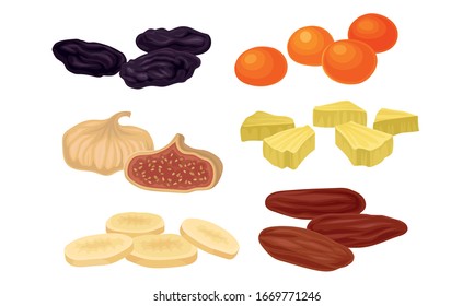 Dried Fruits With Figs And Raisin Isolated On White Background Vector Set