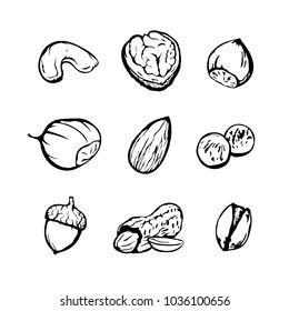 Dried fruits icon set. Hand-drawn vector illustration