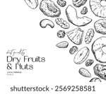 Dried fruits and nuts drawing. Vector label template. Mix of cashew, hazelnuts, peanuts, dried apricots, raisins. Healthy snack, granola ingredient sketch. Hand drawn cranberry, coconut, banana, fig.