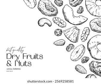 Dried fruits and nuts drawing. Vector label template. Mix of cashew, hazelnuts, peanuts, dried apricots, raisins. Healthy snack, granola ingredient sketch. Hand drawn cranberry, coconut, banana, fig.