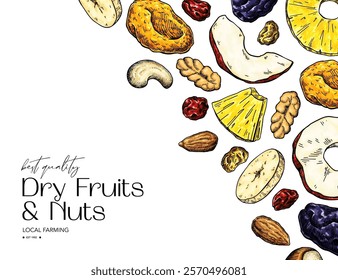 Dried fruits and nuts drawing. Vector label template. Mix of cashew, hazelnuts, peanuts, dried apricots, raisins. Healthy snack, granola ingredient sketch. Hand drawn cranberry, coconut, banana, fig.