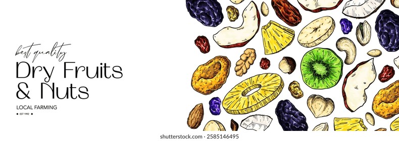 Dried fruits and nuts drawing. Vector label template. Mix of cashew, hazelnuts, peanuts, dried apricots, raisins. Healthy snack, granola ingredient sketch. Hand drawn cranberry, coconut, banana, fig.