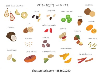 Dried fruits and nuts food vector doodle illustrations set