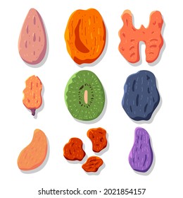 Caricatura vectorial de frutos secos y nueces aislada en un fondo blanco.