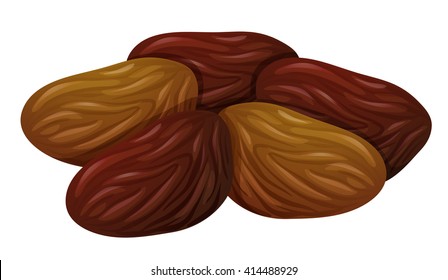 Dried fruits on white background illustration
