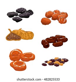 Dried Fruits set. Isolated vector icons of raisins, dates, figs, apricots, plums, prunes. Sweet and dessert snacks