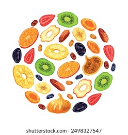 Dried fruits in the shape of a circle in a cartoon style. Vector illustrations: pineapple, dried apricots, raisins, apples, kiwi, orange, strawberry, banana, prune, fig, date isolated on white backgro