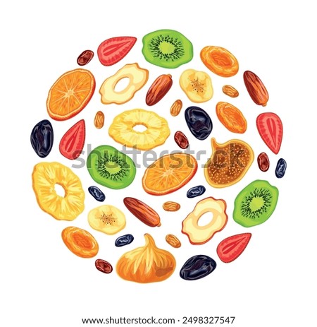 Dried fruits in the shape of a circle in a cartoon style. Vector illustrations: pineapple, dried apricots, raisins, apples, kiwi, orange, strawberry, banana, prune, fig, date isolated on white backgro