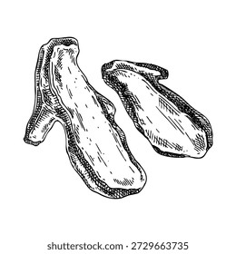 Raízes secas de gengibre fatias desenhadas à mão ilustrações vetoriais. Esboço de planta medicinal. Ingrediente de cozinha orgânico, medicina à base de plantas, design de embalagem de alimentos. NÃO gerado AI