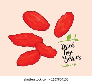 dried goji berries vector design