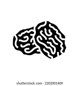 vector de icono de glifo de uva seca. signo de uva seca. ilustración de símbolo aislado