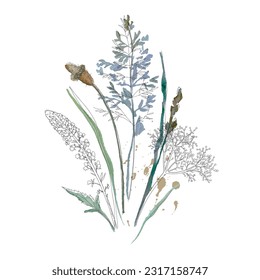 Dried grass floral bouquet, frame. Wildflowers, herbs border painted in watercolor. Botanical boho elements isolated on white. Wedding invitation, greeting, card, print