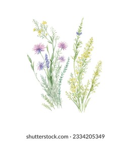 Dried grass floral bouquet, frame. Wildflowers, herbs border painted in watercolor. Botanical boho elements isolated on white. Wedding invitation, greeting, card, print