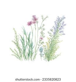 Dried grass floral bouquet, frame. Wildflowers, herbs border painted in watercolor. Botanical boho elements isolated on white. Wedding invitation, greeting, card, print