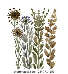 Dried grass floral bouquet, frame. Wildflowers, herbs border painted in watercolor. Botanical boho elements isolated on white. Wedding invitation, greeting, card, print