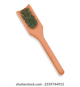 Dried green tea leaves on a wooden spoon, green tea preparation, isolated on white background