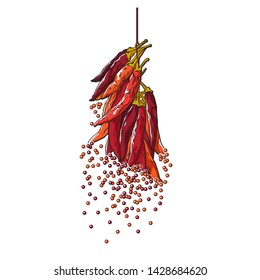 Dried hand drawn sketch of hot pepper with many pepper drops, vector illustration isolated on white background, pepper spicy