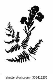 Dried herbarium plants isolated on white background with flowers and leaves, vector illustration