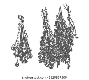 Dried herbs illustrated in a stippling photocopy effect