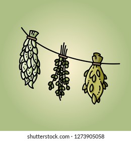 Dried herbs on a thread flat vector style image on green background