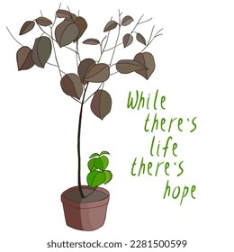 Dried house plant in a flowerpot with a young bright green shoot. Motivational inscription While there's life there's hope. Illustration for a postcard