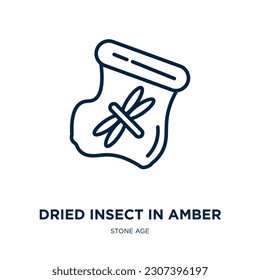 dried insect in amber icon from stone age collection. Thin linear dried insect in amber, perfect, simple outline icon isolated on white background. Line vector dried insect in amber sign, symbol for 