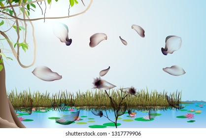 Dried jasmine petals are floating in the air