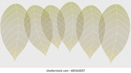 Dried leaves light green leaf isolate ,Vector illustration