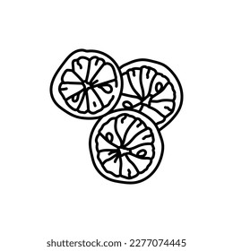Dried lemon black line icon. Natural organic super food. Pictogram for web page, mobile app, promo.