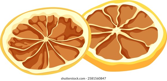 Dried Lemon Slices Illustration Isolated on White Background	