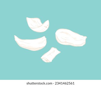 Dried lily bulb in ingredients illustration