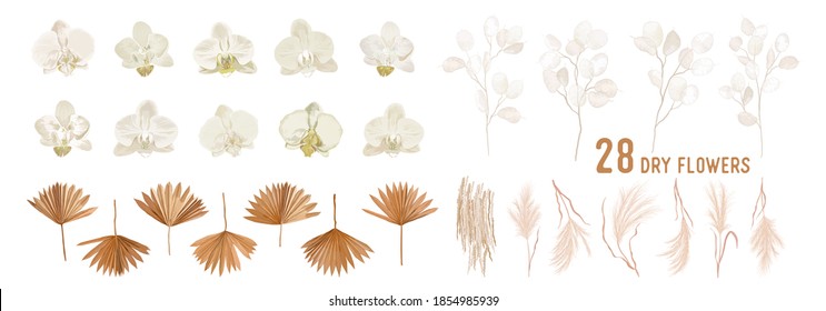 Dried lunaria flowers, orchid, pampas grass, tropical palm leaves vector bouquets. Pastel watercolor floral template isolated collection for wedding wreath, bouquet frames, decoration design elements 