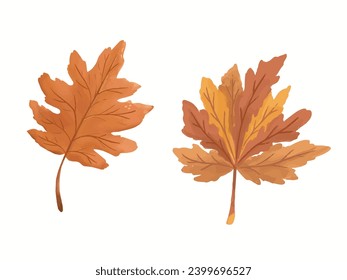 Dried maple leaf watercolor illustration