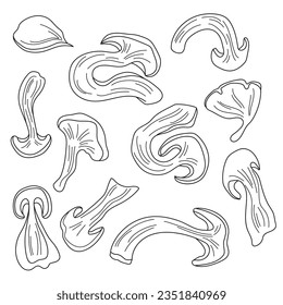 dried mushrooms outline vector image