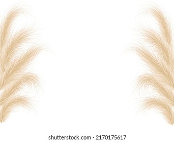 Dried Natural Pampas Grass. Floral Ornamental Elements In Boho Style. Vector Illustration Of Cortaderia Selloana. New Trendy Home Decoration. Flat Lay With Copy Space, Top View