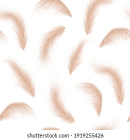 Pampas naturel séché sur fond harmonieux. Éléments ornementaux floraux de style boho. Illustration vectorielle de cortaderia selloana.