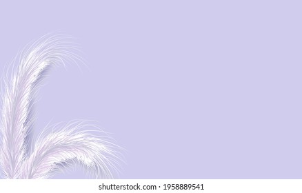 Dried natural pampas grass on violet background. Floral ornament elements in boho style. Vector illustration of cortaderia selloana. New trendy home decor. Flat lay, copy space, top view.