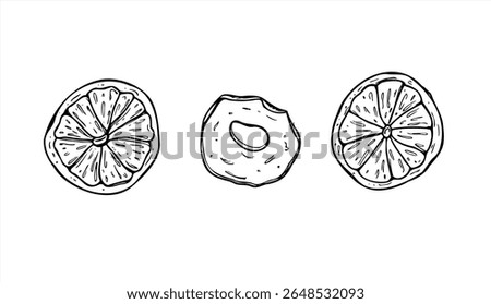 Dried orange and apple slices vector illustration painted by black inks. Winter fruits graphic sketch for winter drink garnish, holiday decor, festive packaging, tea label, Christmas craft.