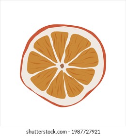 Dried orange slice, dehydrated dry citrus fruit, tea ingredient, vector illustration isolated on white background, colored detailed hand drawn clipart