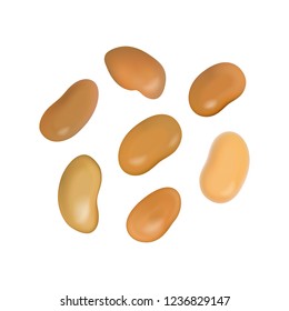 Dried organic alfalfa seeds or dry medicago sativa isolated on white background. Vector illustration of lucerne seed top view