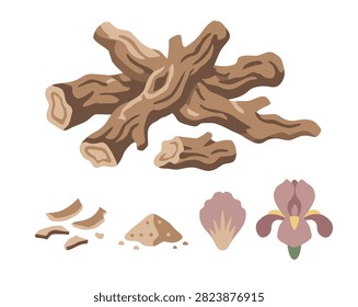 Dried orris roots with iris flowers, sliced root pieces and fragrant powder isolated on white.
