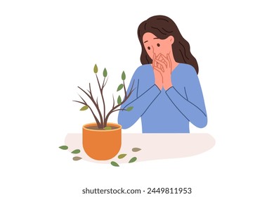 Dried out houseplant in pot causes stress to upset woman who is interested in botany. Discouraged girl sees sick houseplant that has become victim of pests or low-quality fertilizers