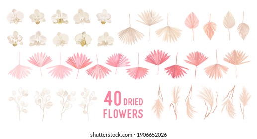 Dried pampas grass, lunaria flowers, orchid, tropical palm leaves vector bouquets. Pastel watercolor floral template isolated collection for wedding wreath, bouquet frames, decoration design elements 