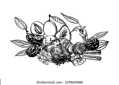 Dried peaches and Prunes, plums vector hand drawn illustration. Ink sketch of nuts. Hand drawn vector illustration. Isolated on white background.