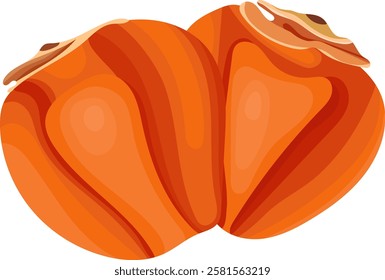 Dried Persimmon Fruits Illustration Isolated on White Background