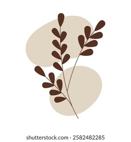 dried plant boho aesthetic and soft earth tones