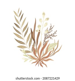 Dried plants and flowers. Bouquet in taupe, brown, sepia trendy colors for your own design vector illustration