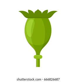 Dried poppy head icon. Flat style. Isolated on white. Vector illustration.