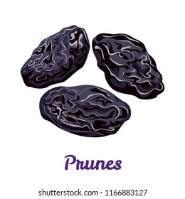 Dried prunes isolated on white background. Vector illustration of dried plums in a simple flat style. Healthy vegetarian food. Sweet dry fruit.